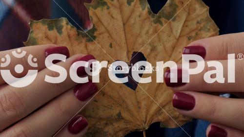 Stylish Red Female Nails. Fall Leaf With Hole In Heart Shape In Hands. Modern Beautiful Manicure. Autumn Winter Nail Design Concept Of